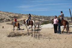 bx_horse_caravan