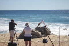 dvd_crew_a