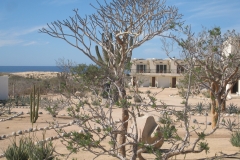 prana_buildings_2