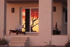 prana_buildings_patio