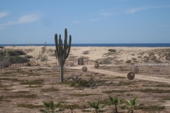 prana_grounds