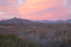 prana_grounds_7
