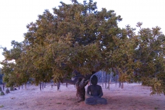 prana_grounds_buddah