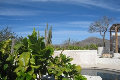 prana_pool_3