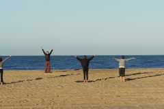 SONY DSC